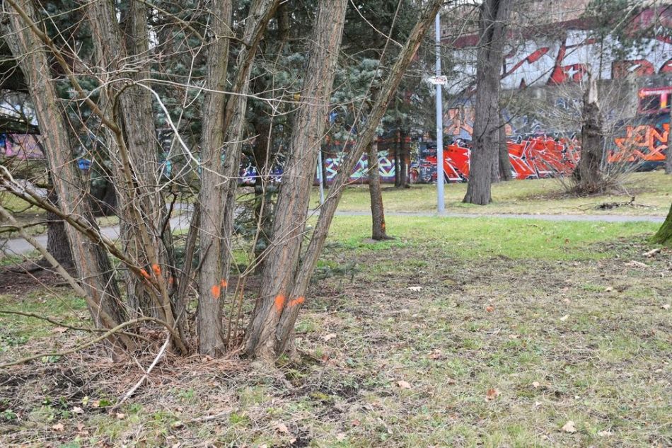 Lochotínský park_foto Radka Žáková