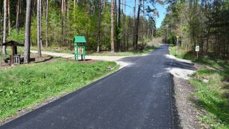 Město opraví lesní cesty v Liticích, na Valše i na Kokotsku