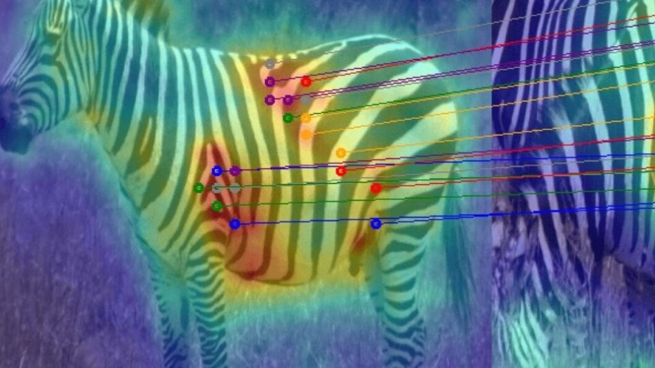 Vědci ze ZČU učí počítače rozpoznávat zvířata. Pomáhají tím sledovat a chránit i ohrožené druhy